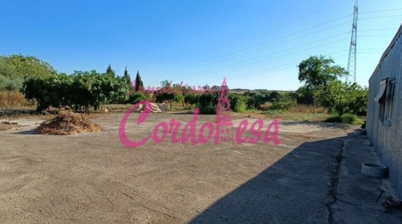 Córdoba - Córdoba - 2000m2