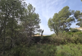 Torrent 1079&nbsp;m² 
