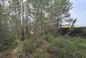 Torrent 1079&nbsp;m² 