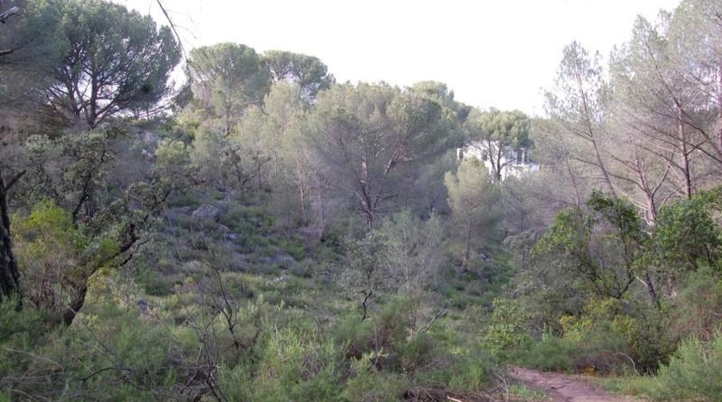 Córdoba - Córdoba - 1549m2