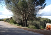 Sòl urbà en venda a la España, Encinarejo de Córdoba, ref.: TR219000 foto