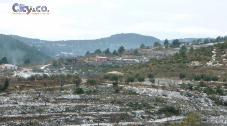 Albacete - Nerpio - 60000m2