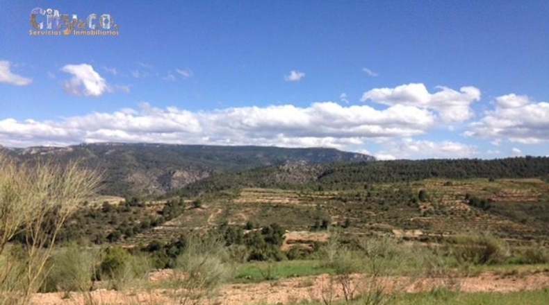 Albacete - Nerpio - 60000m2