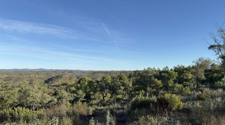 Segòvia - Berrocal - 81410m2