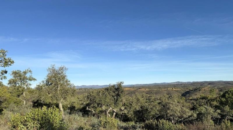 Segòvia - Berrocal - 81410m2