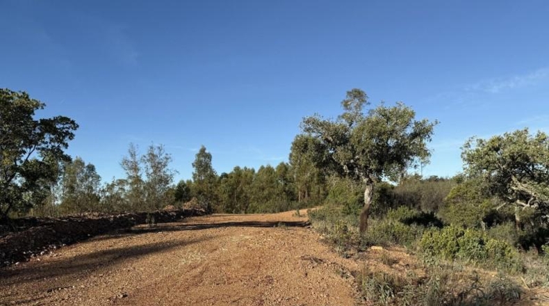 Segòvia - Berrocal - 81410m2