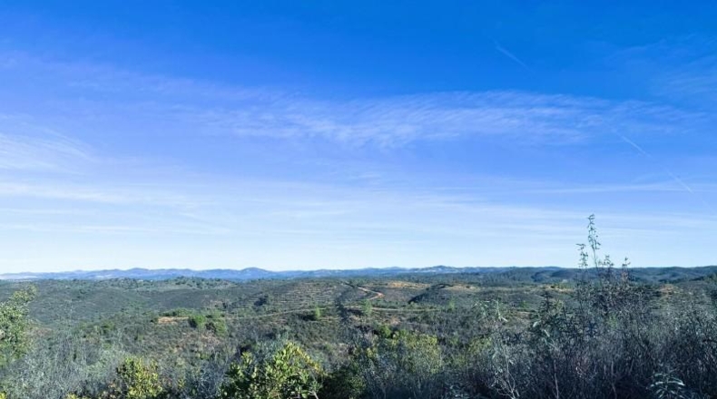Segòvia - Berrocal - 81410m2