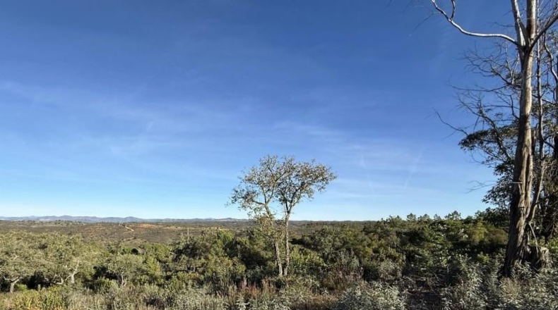 Segòvia - Berrocal - 81410m2