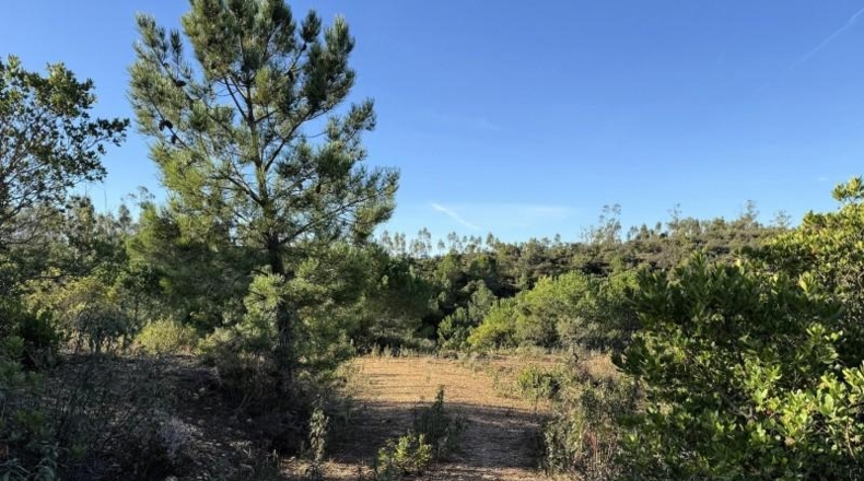 Segòvia - Berrocal - 81410m2