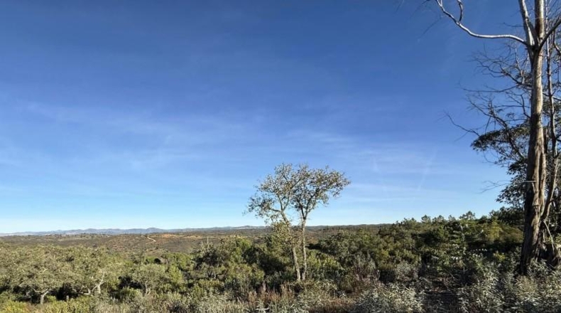Segòvia - Berrocal - 81410m2