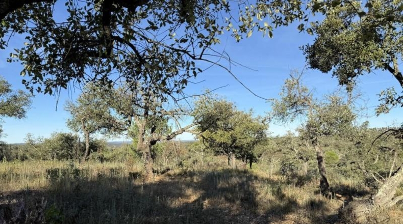 Segòvia - Berrocal - 81410m2