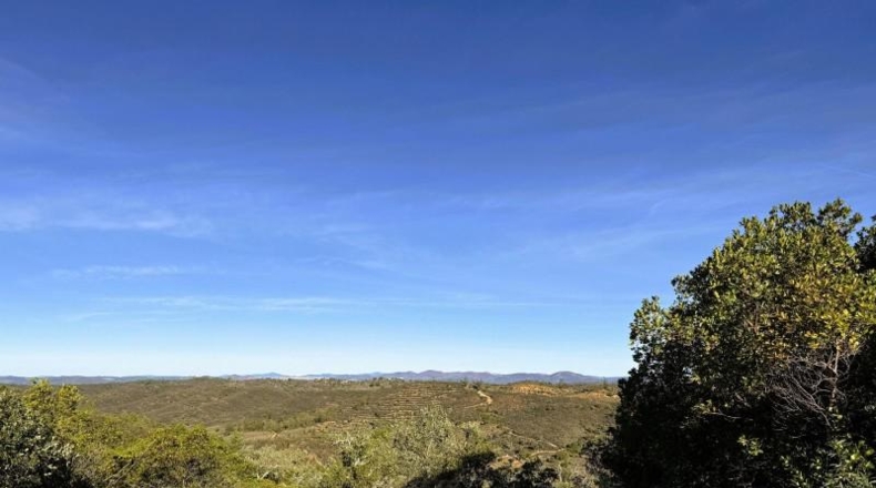 Segòvia - Berrocal - 81410m2