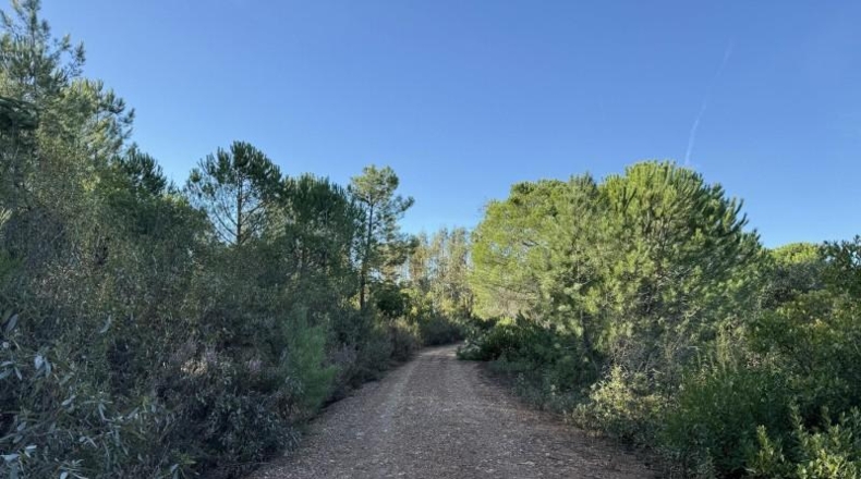 Segòvia - Berrocal - 81410m2