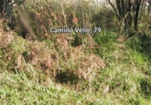 Suelo urbano en venta en la España, Puentedeume, ref: TR363356 foto