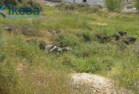 Cortegana 2548&nbsp;m²