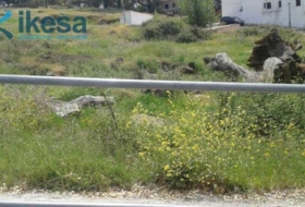 Cortegana 2548&nbsp;m²