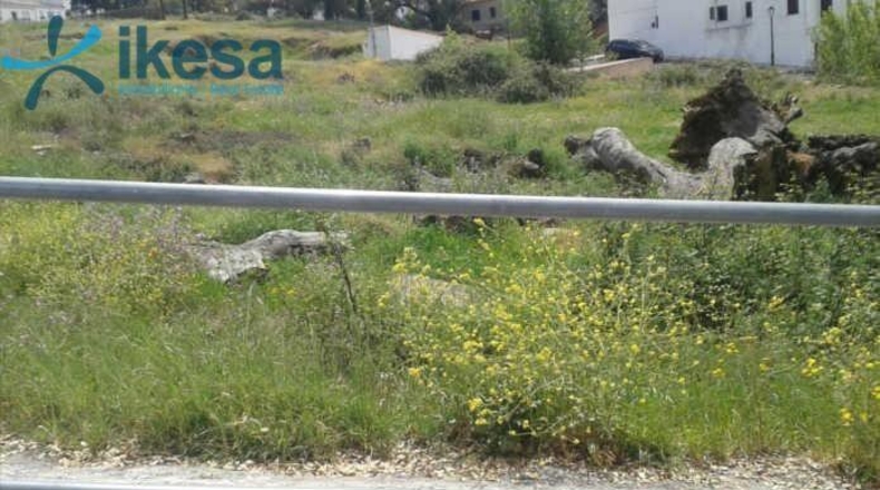 Huelva - Cortegana - 2548m2