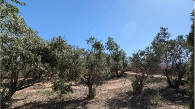 Albacete - Каудете - 7600m2