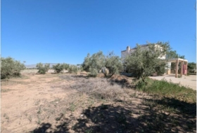 Foto 19
