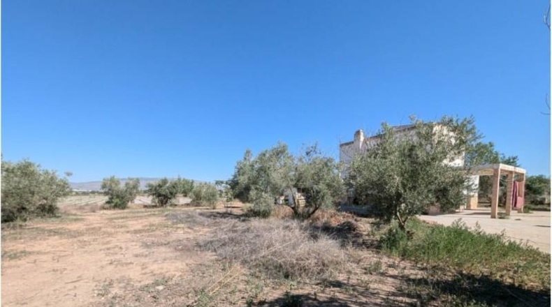 Albacete - Каудете - 7600m2