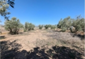 Casa de camp amb terreny en venda a la España, Cabdet, ref.: TR294668 foto