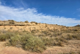 Foto 14
