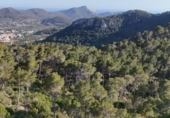 Terreno no urbanizable en venta en la España, Andratx, ref: TR345932 foto