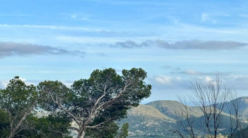 Islas Baleares - Andratx - 12241m2