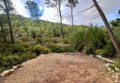 Terreno no urbanizable en venta en la España, Andratx, ref: TR345932 foto