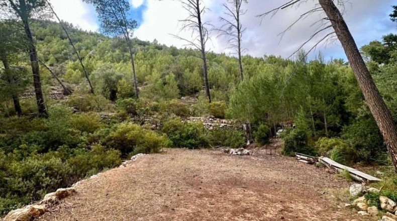 Islas Baleares - Andratx - 12241m2