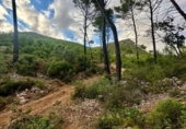 Terreno no urbanizable en venta en la España, Andratx, ref: TR345932 foto