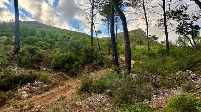 Islas Baleares - Andratx - 12241m2