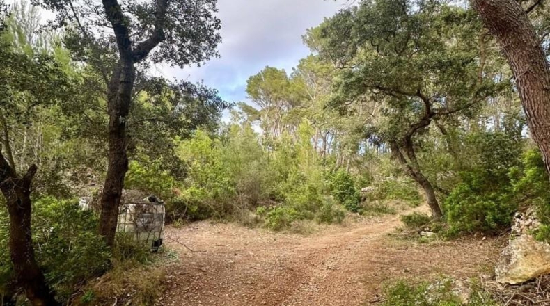 Islas Baleares - Andratx - 12241m2