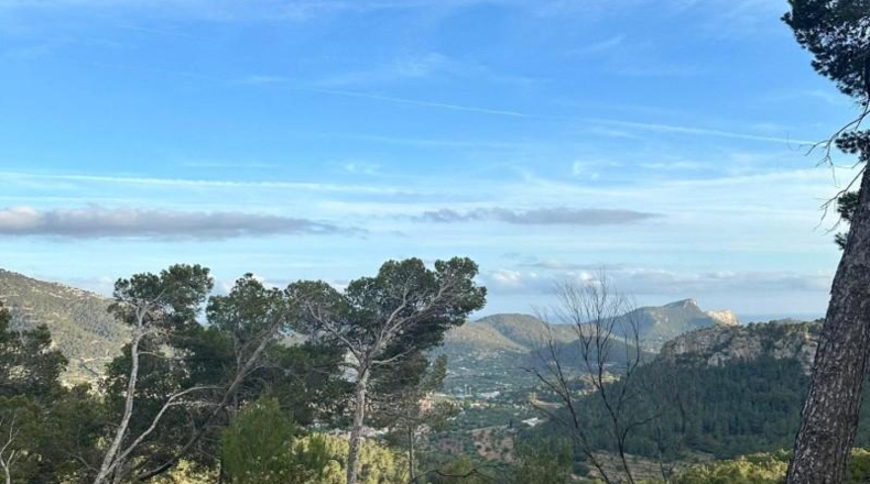 Islas Baleares - Andratx - 12241m2