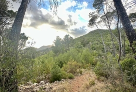 Foto 9