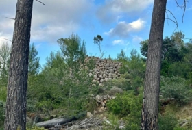 Foto 10