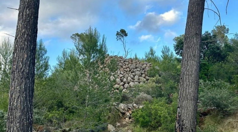 Islas Baleares - Andratx - 12241m2