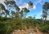 Terreno no urbanizable en venta en la España, Andratx, ref: TR345932 foto