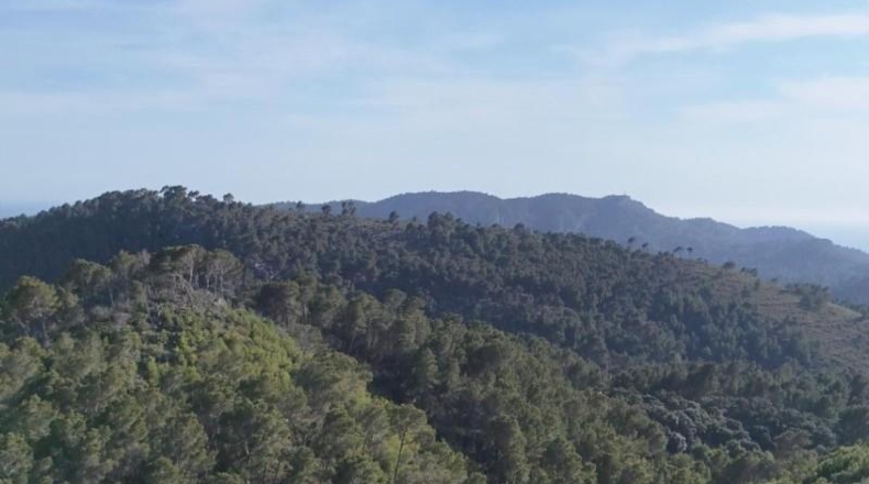 Islas Baleares - Andratx - 12241m2