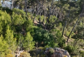 Foto 14