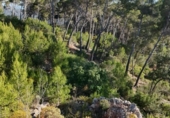 Terreno no urbanizable en venta en la España, Andratx, ref: TR345932 foto