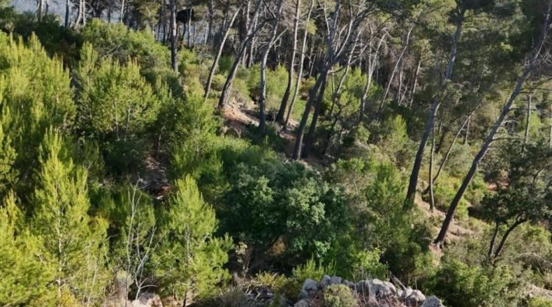 Islas Baleares - Andratx - 12241m2