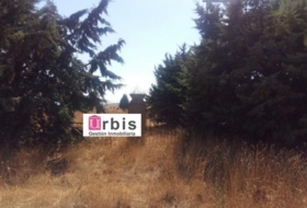 Buenavista 3658&nbsp;m²