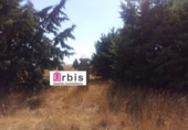 Terreno no urbanizable en venta en la España, Buenavista, ref: TR114358 foto