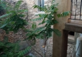 Village house for sale on España, Torremanzanas, ref: TR274080 photo