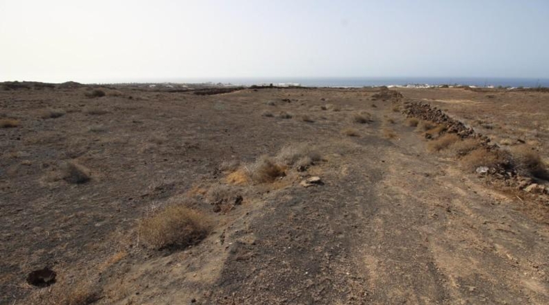 Las Palmas - Tías - 14837m2