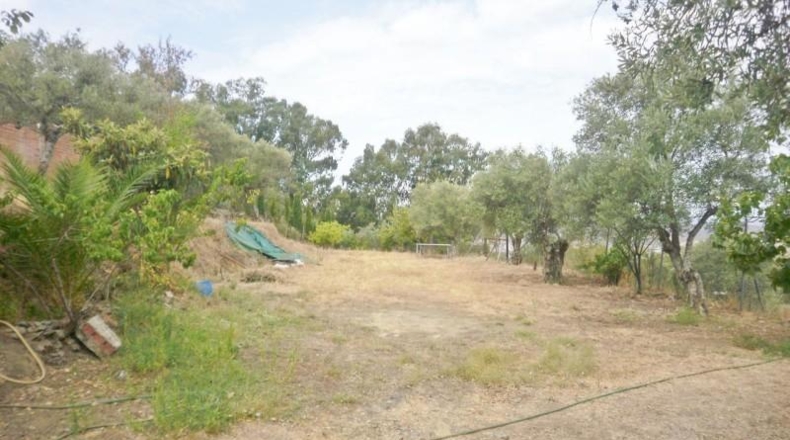 Palencia - Palència - 3500m2
