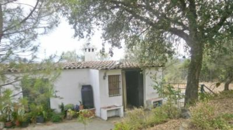 Palencia - Palència - 3500m2