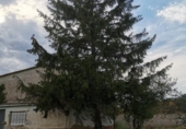 Terreno no urbanizable en venta en la España, Onzonilla, ref: TR118023 foto