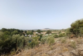 El Bosque 20000&nbsp;m²